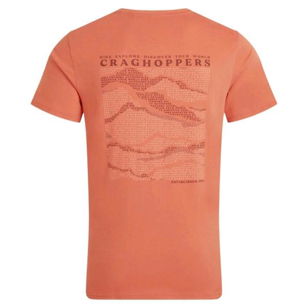 Craghoppers Mens Lucent II Mountain Back Print Short-Sleeved T-Shirt - Sahara - 