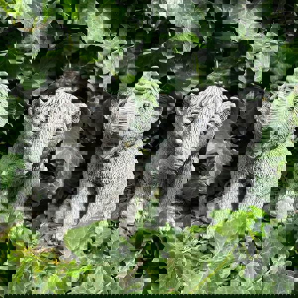 Adorable Baby Mammoths Duo Manny and Ellie Elephants