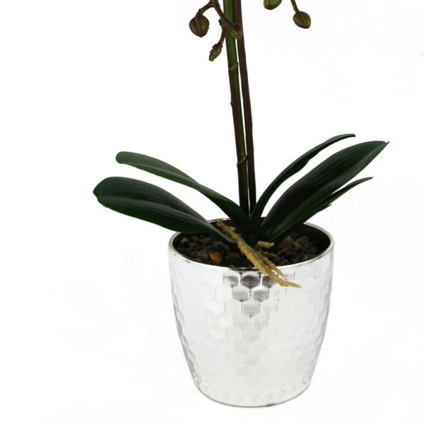 Leaf 50cm Phalaenopsis Orchid Artificial - Light Pink Silver