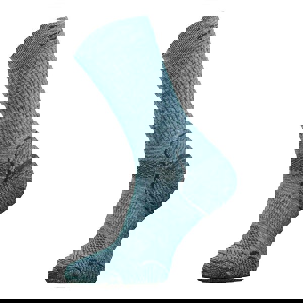 t4option1_4
