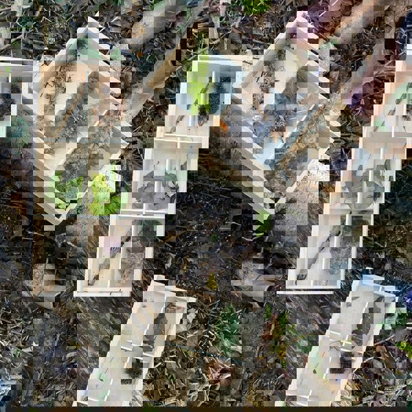 tickit Wooden Discovery Boxes