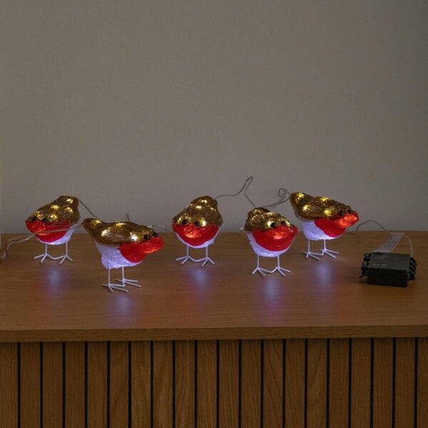 Samuel Alexander Set of 5 Battery Powered Light Up Acrylic Christmas Robins with White LEDs