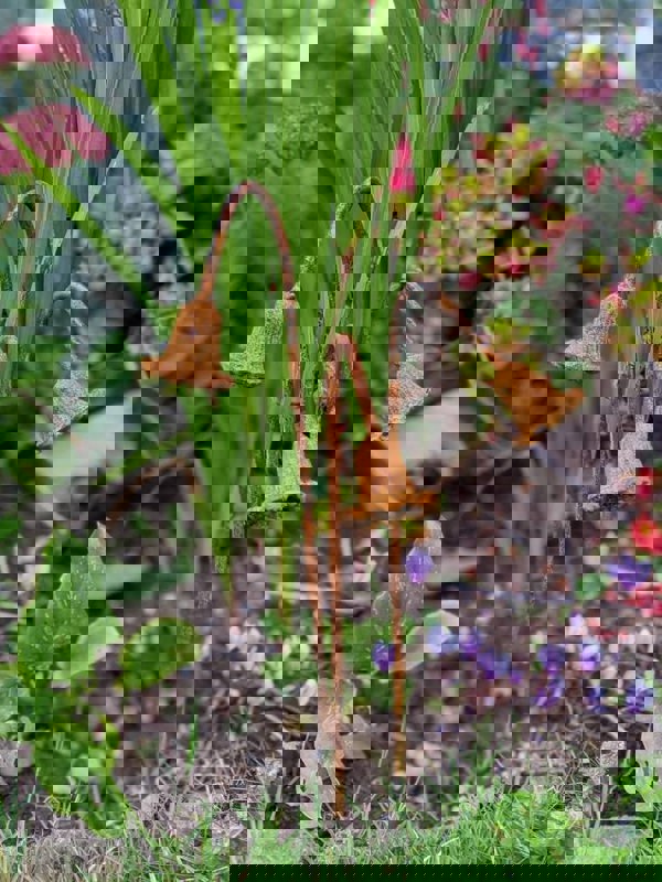 Savage Works Metal Bluebells Garden Sculptures - Rusty Metal Garden Flowers