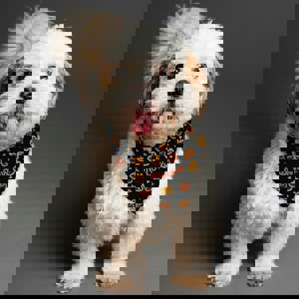 Personalised Memento Company Personalised Pumpkin Patch Dog Bandana