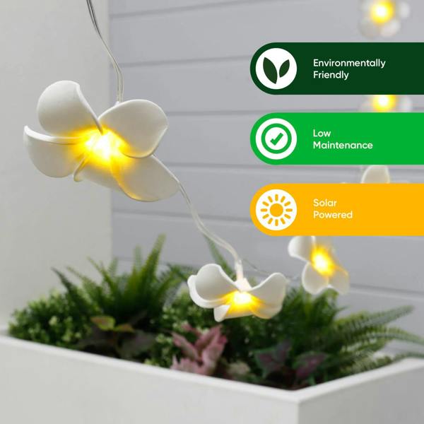 Gardenwize 20-Piece Solar String Lights – 2m Frangipani Flower LED Lights