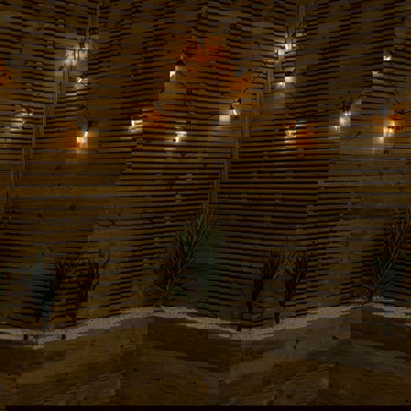 Samuel Alexander Set of 20 Indoor Outdoor Connectable Vintage Festoon Lights with Warm White LEDs