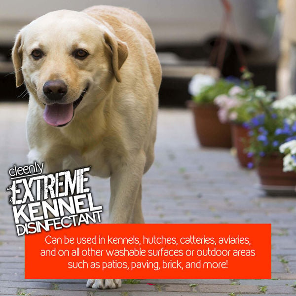 Cleenly Extreme Kennel Disinfectant, Deodoriser, and Cleaner (5L) - Lavender Fragrance