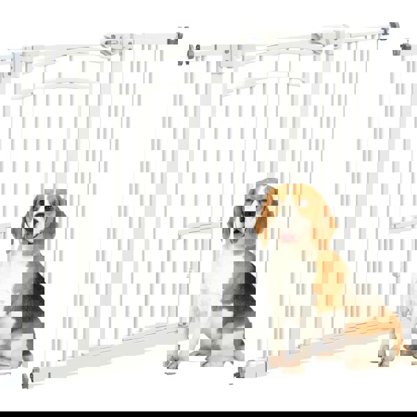 D06-212V01WT