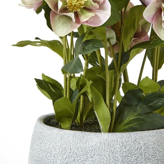 Wyld Haus Artificial Plant Variegated Pink Hellebore Plant In Grey Ceramic Pot