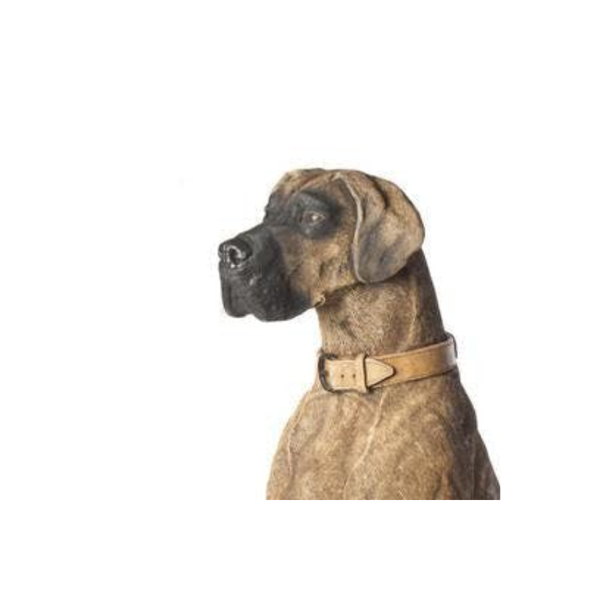 Giant life-size Hunting Dog Great Dane Statue