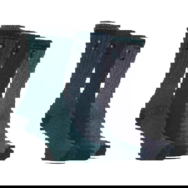 t4option1_2