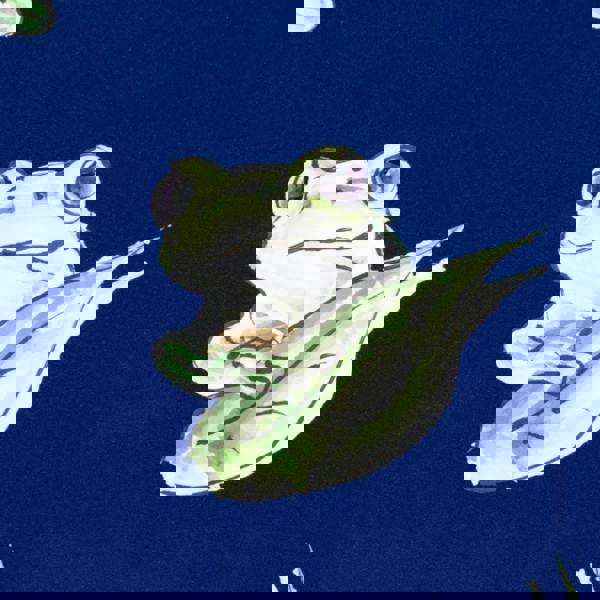 Randy Cow Matching Father & Son Frogs Swim Shorts