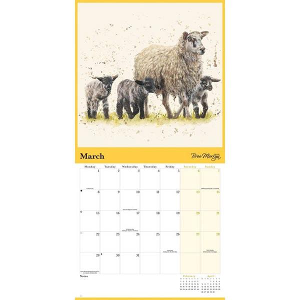 Bree Merryn, Country Life Calendar 2027, Wall Calendars, Month To View, Animals, Gift
