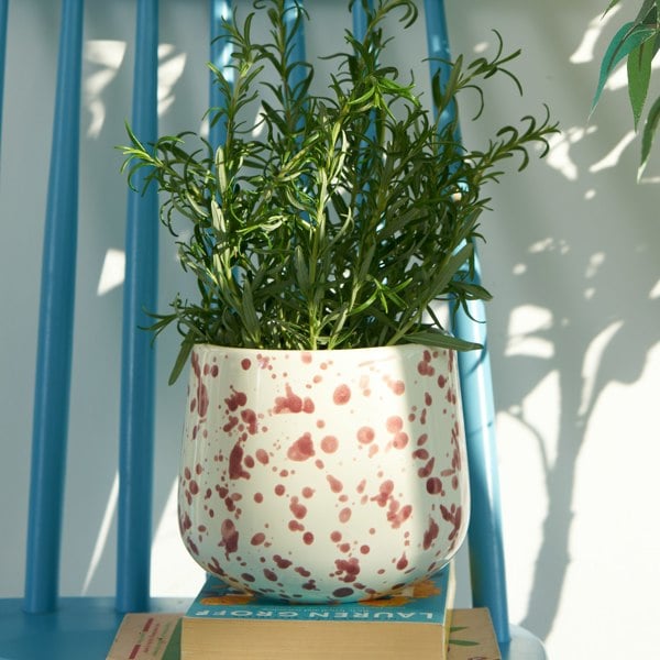 Hot Pottery Indoor Planter Cranberry