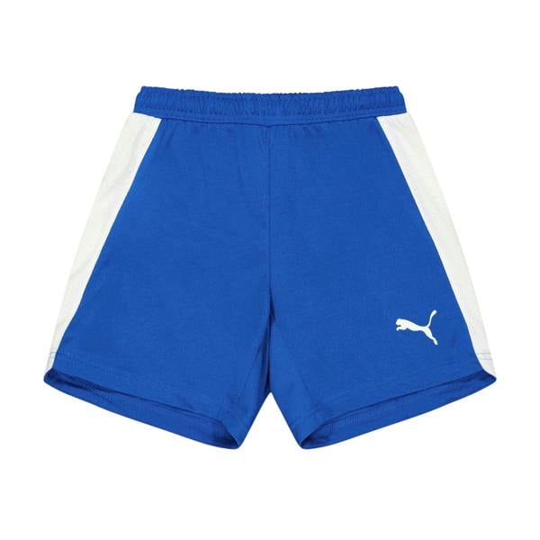 Puma Childrens/Kids Evo Shorts - Blue - 