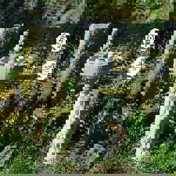 Bamboo Design Stone Cast Birdbath