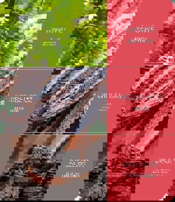 Heart & Home True Enchantment - Essential Oil Blend