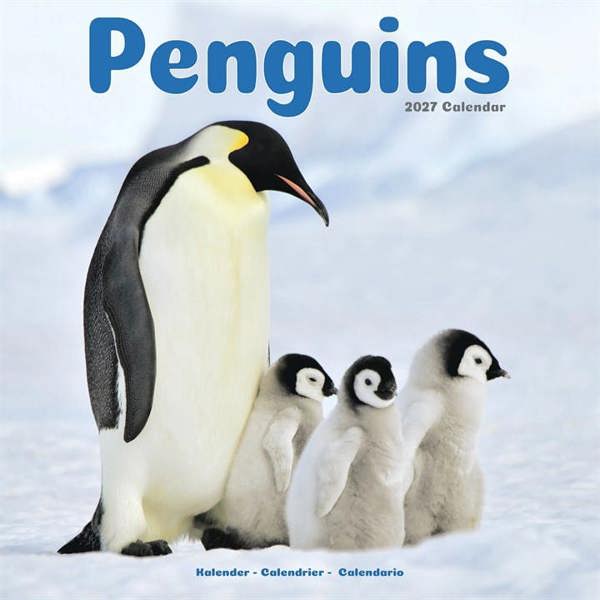 Penguins Calendar 2027, Wall Calendars, Month To View, Animals, Gift