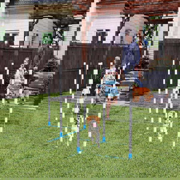 Pet Agility Set