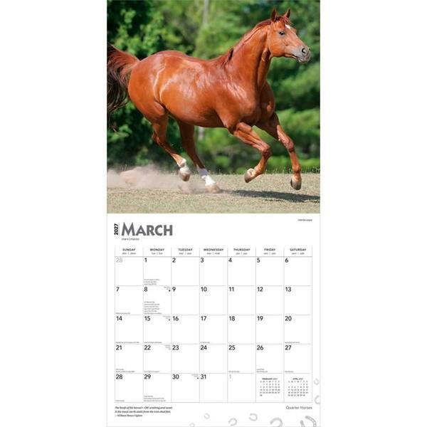 Quarter Horses Calendar 2027, Wall Calendars, Month To View, Animals, Gift