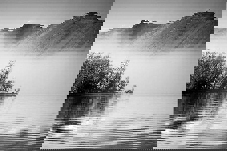 Fernlight Gallery Mountains and Mists