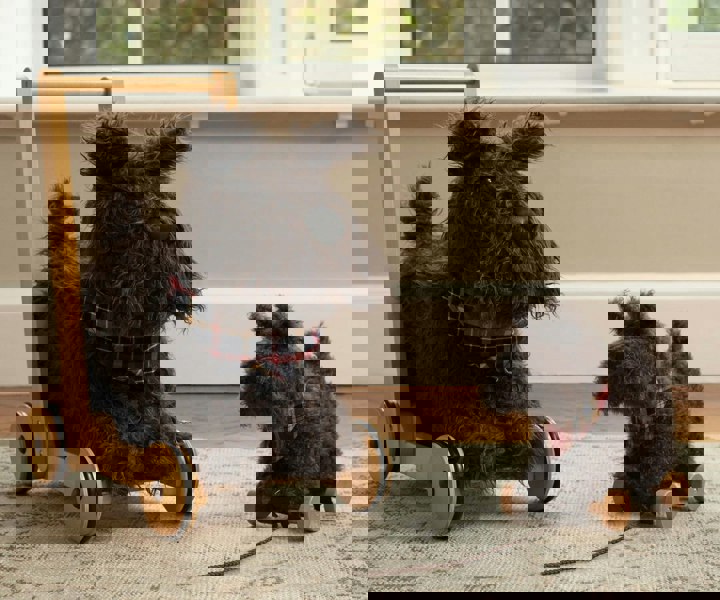 Scottie Dog Baby Walker and Scottie Dog Pull Along Toy standing on cream rug