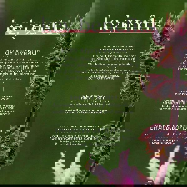 Fushi Natural Energy Supplements Shilajit Blend x 60 Capsules - Additional 4