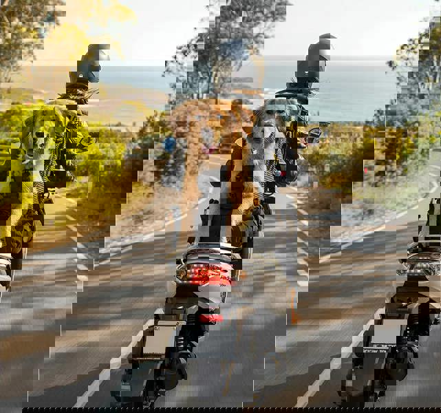 Anywags ANYPET XL Pet Carrier - Travel Backpack for Medium to Large Dogs with Pockets