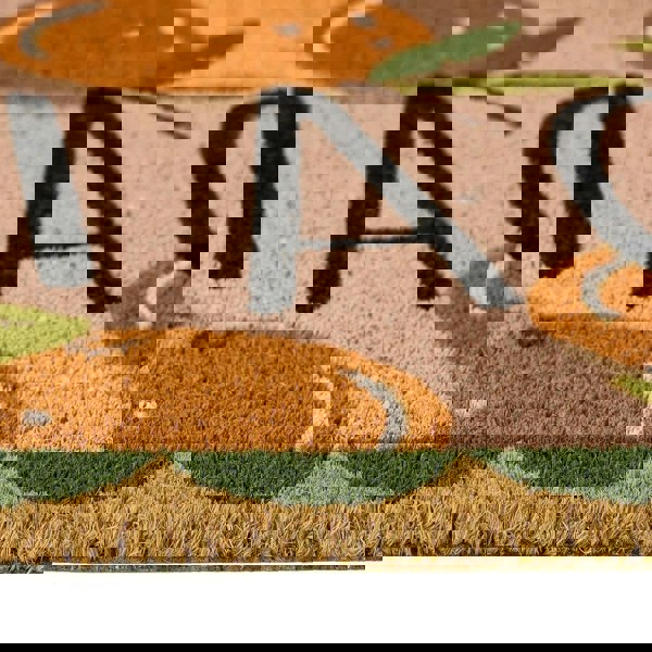 The Rugs Quality Colourful Natural Coir Doormat - 45x75cm