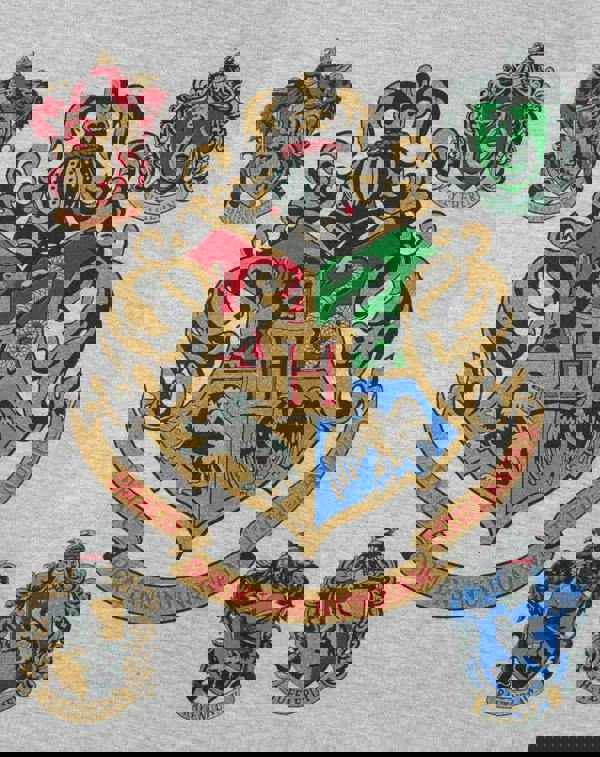 Harry Potter Girls Grey Hogwarts Crest Raglan Short Sleeved T-Shirt