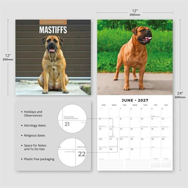 Mastiffs Calendar 2027, Wall Calendars, Month To View, Dogs, Gift