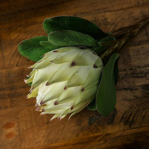 Wyld Haus Set of 3 Artificial Flowers Large White Protea