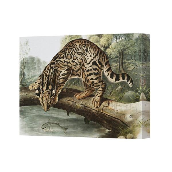 Benjamin Tate Design Tiger Walking On Log Jungle Wildlife Canvas Wall Art Print