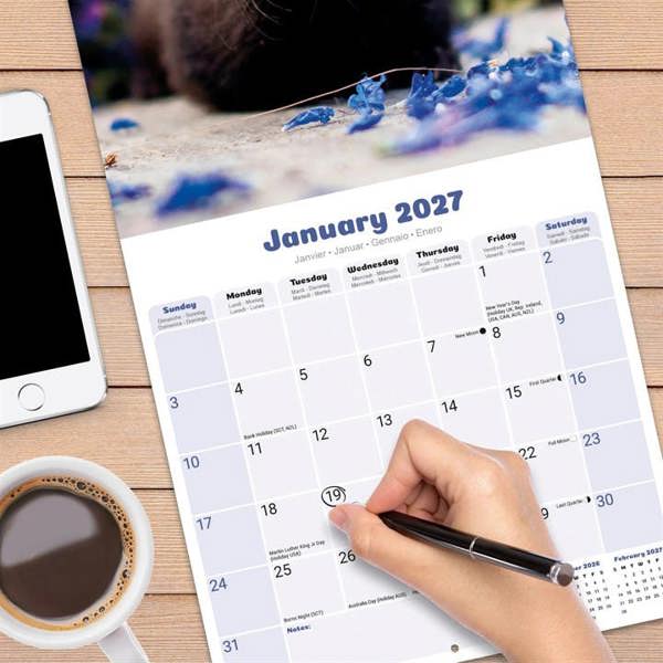 Ferrets Calendar 2027, Wall Calendars, Month To View, Animals, Gift