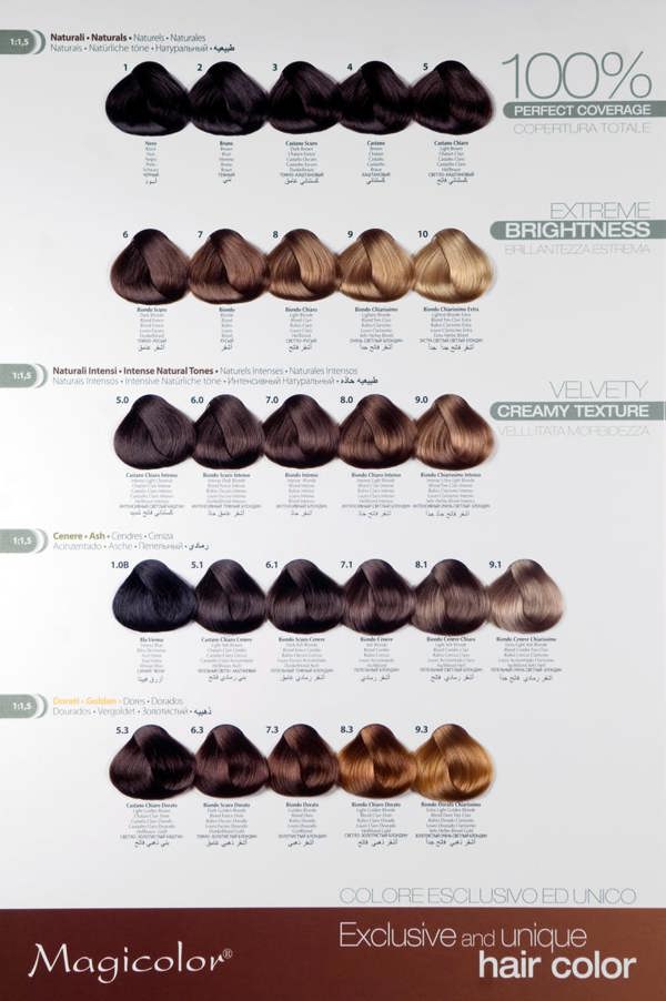 MagiColor Professional Permanent  Creme Color 100ml Sandy Blonde (12.4)