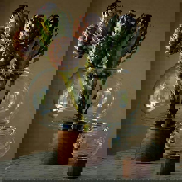 LSA Oblate Glass Vase Lantern 28cm with Walnut Base Clear