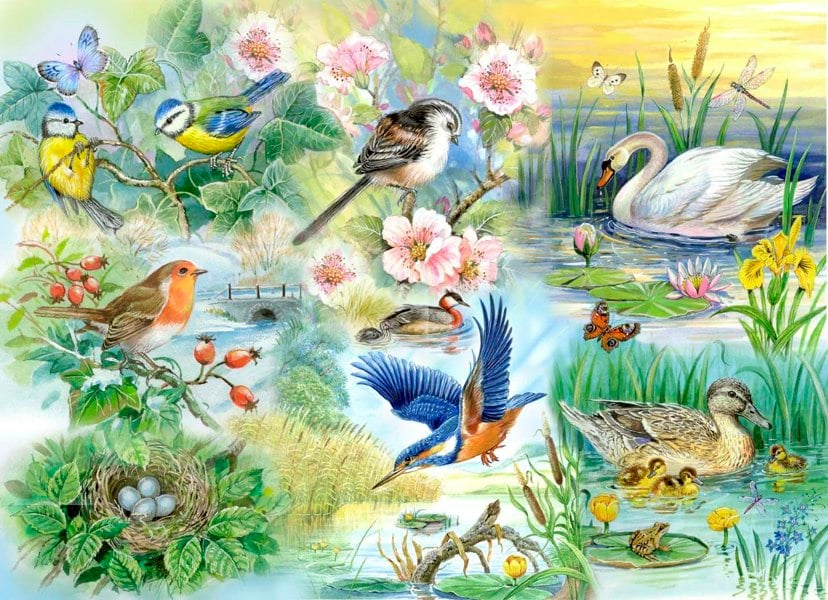 The House of Puzzles Feathered Friends - BIG 250 Piece Jigsaw Puzzle