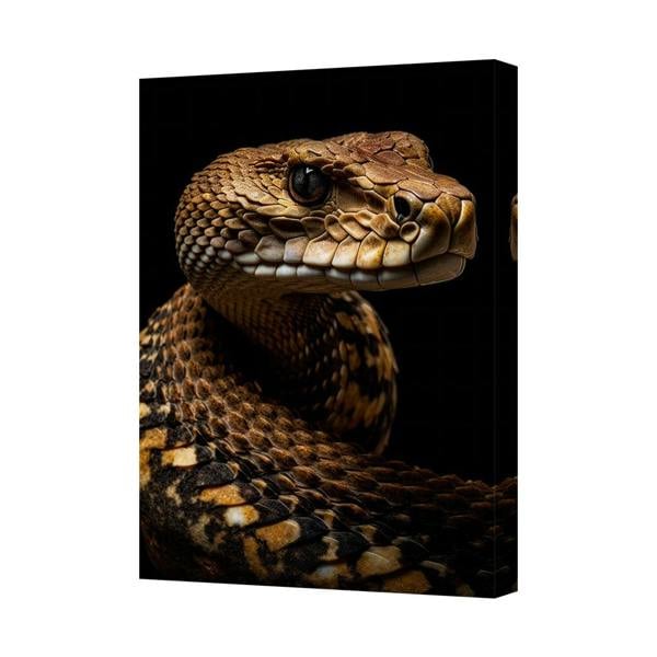 Benjamin Tate Design Close Up Cobra Canvas Wall Art Print For Home Decor