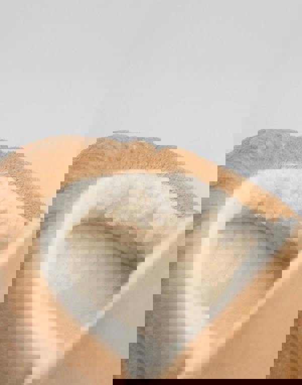 Pokemon Girls Brown Eevee 3D Character 3D Slippers