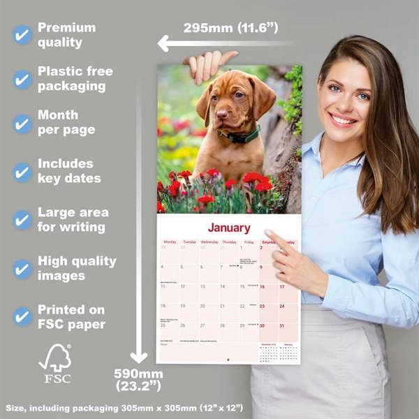 Vizsla Calendar 2027, Wall Calendars, Month To View, Dogs, Gift
