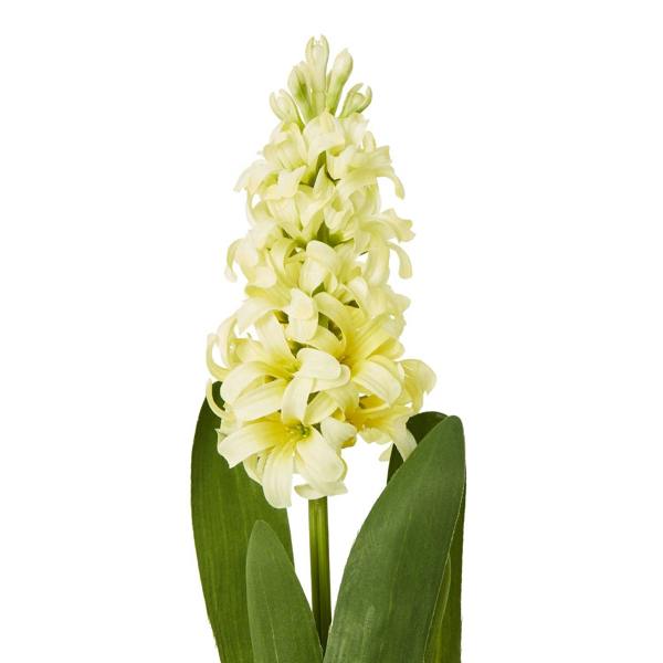 Wyld Haus Set of 3 Artificial Flowers Yellow Hyacinth Stems