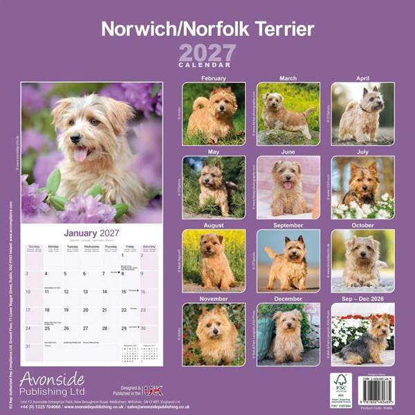 Norwich & Norfolk Terrier Calendar 2027, Wall Calendars, Month To View, Dogs, Gift