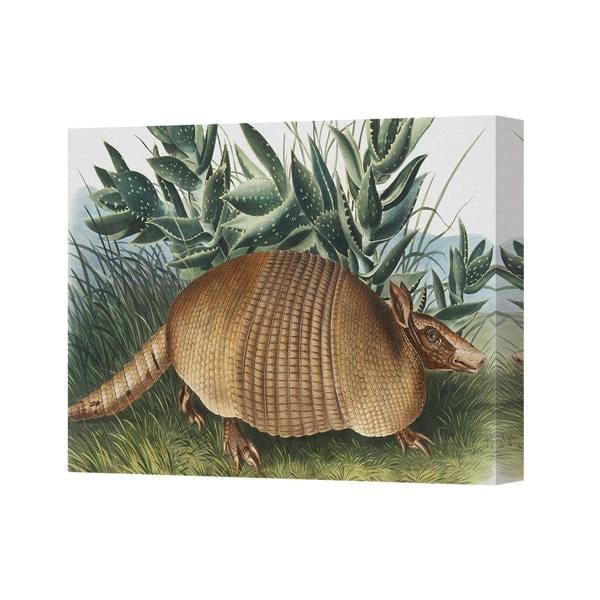 Benjamin Tate Design Armadillo Canvas Wall Art Print In Natural Green Landscape
