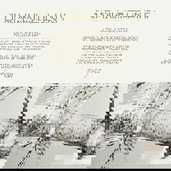 Korres White Pine Restorative Cream 40 ml