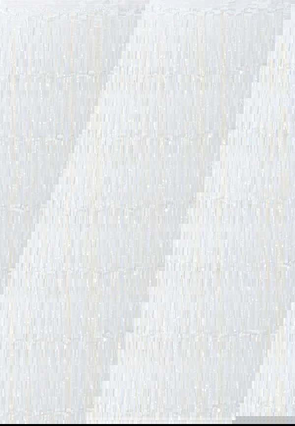 Cheetah Shimmer Tinsel Curtain, 2M x 1M White