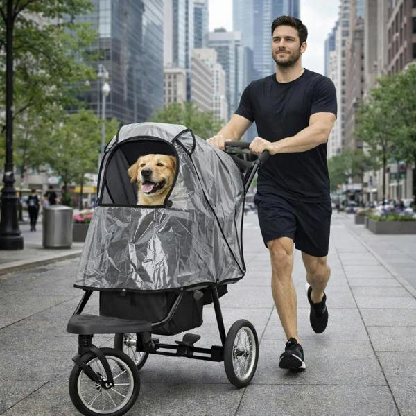 Black pet jogger with a spacious canopy, featuring a happy golden retriever, rolling on city streets with a man in athletic wear