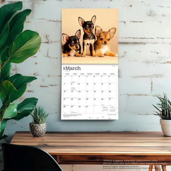 Chihuahua Puppies Calendar 2027, Wall Calendars, Month To View, Dogs, Gift