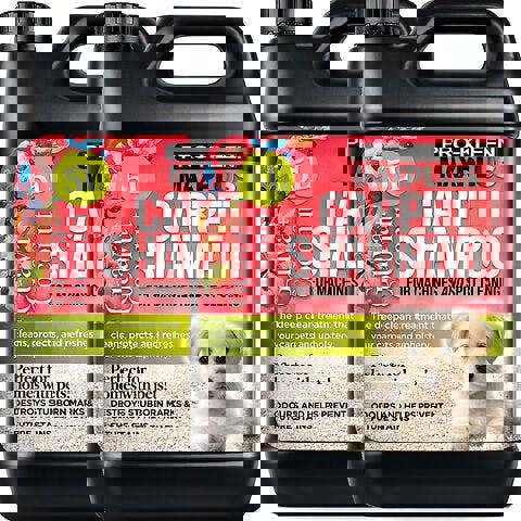 ProKleen Pro-Kleen MAXPLUS Carpet Shampoo Guava And Coconut 10L