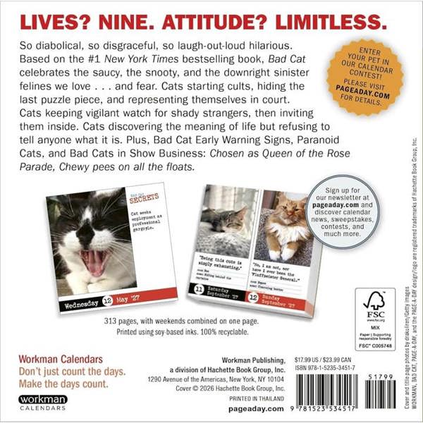 Bad Cat Desk Calendar 2027, Desk Calendars, Day To View, Cats, Gift