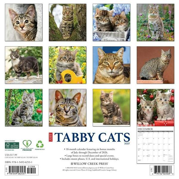 Just Tabby Cats Calendar 2027, Wall Calendars, Month To View, Cats, Gift